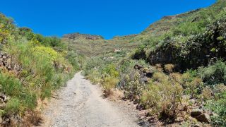 2023-04-GranCan-Guayadeque-051.jpg